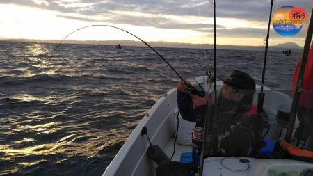 幕島丸 釣果