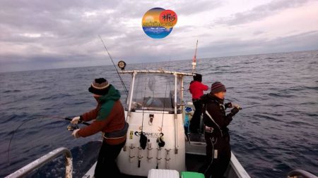 幕島丸 釣果