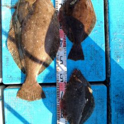 フィッシングガイド りょう 釣果