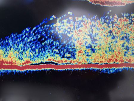 South Current 釣果