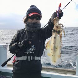 South Current 釣果