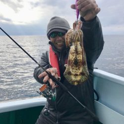 South Current 釣果