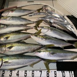 オーシャンスター(Ocean Star) 釣果