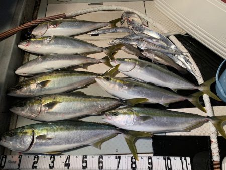 オーシャンスター(Ocean Star) …