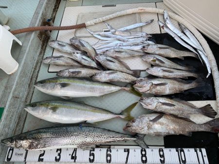 オーシャンスター(Ocean Star) …