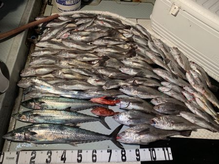 オーシャンスター(Ocean Star) …