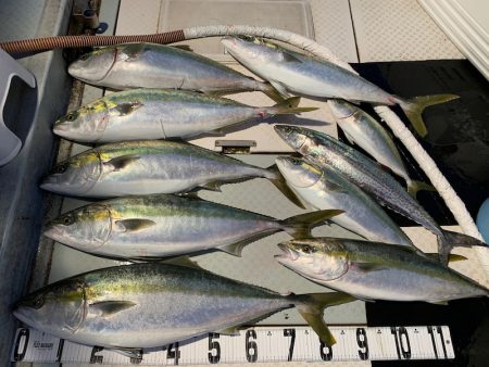 オーシャンスター(Ocean Star) …