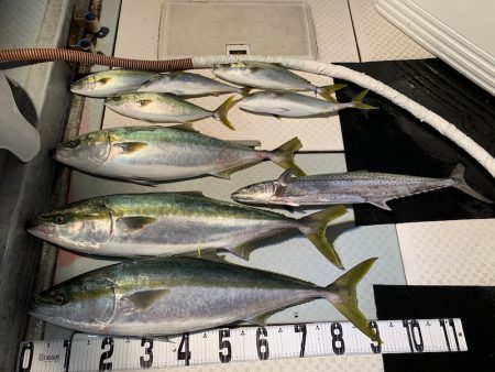 オーシャンスター(Ocean Star) …