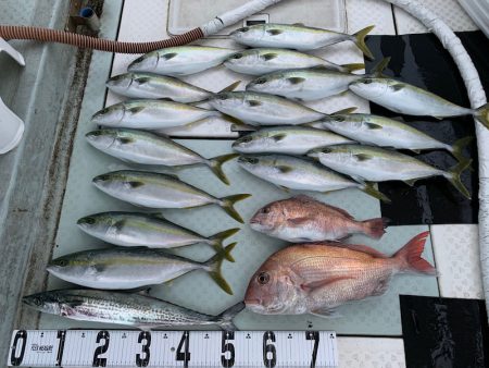 オーシャンスター(Ocean Star) …