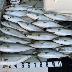 オーシャンスター(Ocean Star) 釣果