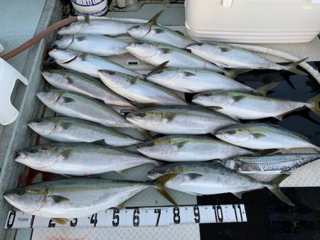 オーシャンスター(Ocean Star) …