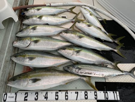 オーシャンスター(Ocean Star) …