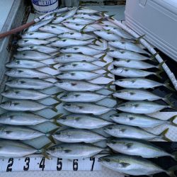 オーシャンスター(Ocean Star) 釣果