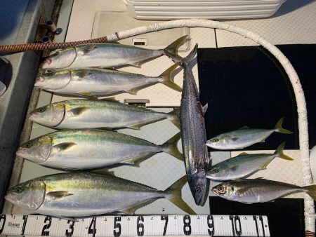 オーシャンスター(Ocean Star) …