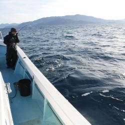 BlueNote Fishing Taxi 釣果