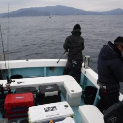 ＢｌｕｅＮｏｔｅ　Ｆｉｓｈｉｎｇ　Ｔａｘｉ 釣果