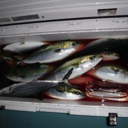 ＢｌｕｅＮｏｔｅ　Ｆｉｓｈｉｎｇ　Ｔａｘｉ 釣果