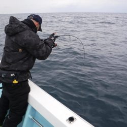 ＢｌｕｅＮｏｔｅ　Ｆｉｓｈｉｎｇ　Ｔａｘｉ 釣果