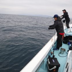 ＢｌｕｅＮｏｔｅ　Ｆｉｓｈｉｎｇ　Ｔａｘｉ 釣果