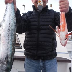 JDI Racing シールズマリンレジャー 釣果