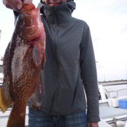 JDI Racing シールズマリンレジャー 釣果