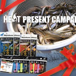 【WEB開催】 旬の釣りアイテムが当たる！ 釣り人応援 プレゼントキャンペーン!! 【第5弾】冬の楽しみ！初心者さんでも扱いやすい 瞬貫わかさぎ セット