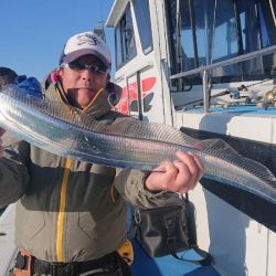 深川　吉野屋 釣果