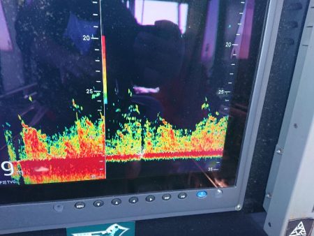 深川　吉野屋 釣果