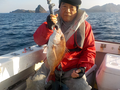 釣船　キティ 釣果