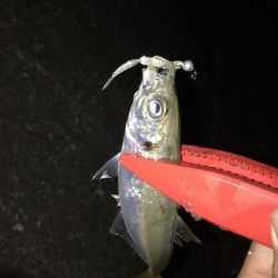 微妙なレンジ調整が釣果のカギ！【がまかつ LUXXE宵姫　インプレッション】