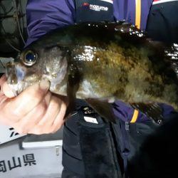 KIM Fishing Guide Service 釣果