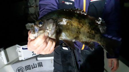KIM Fishing Guide Service 釣果