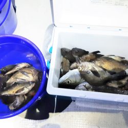 KIM Fishing Guide Service 釣果