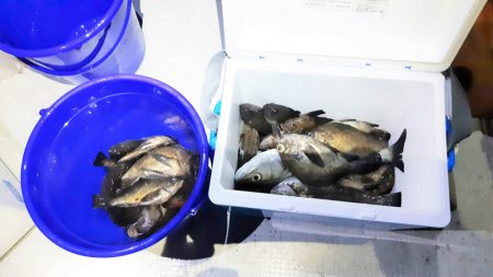 KIM Fishing Guide Ser…