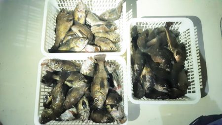 KIM Fishing Guide Ser…