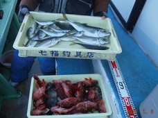 七福丸 釣果