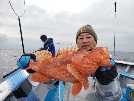 舵丸 釣果
