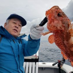 舵丸 釣果