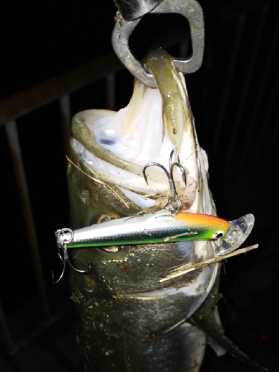 シブいけどなんとか