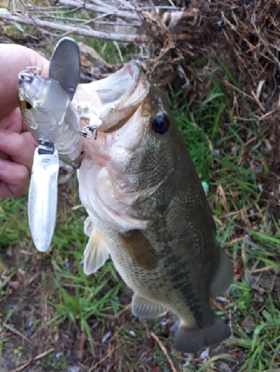 2020年トップウォーターゲーム開幕！