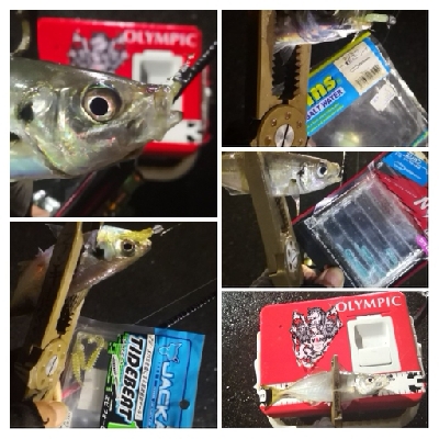 アジング練習 112