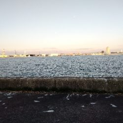 海の中も寒かった！