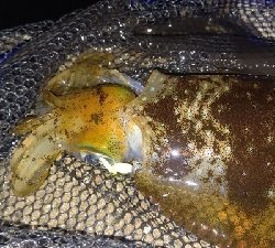 ライトゲームで初出来事!