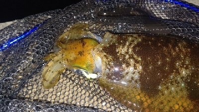 ライトゲームで初出来事！