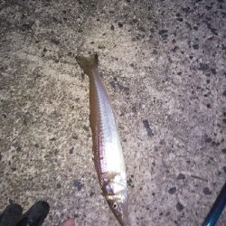 まずまずの成果