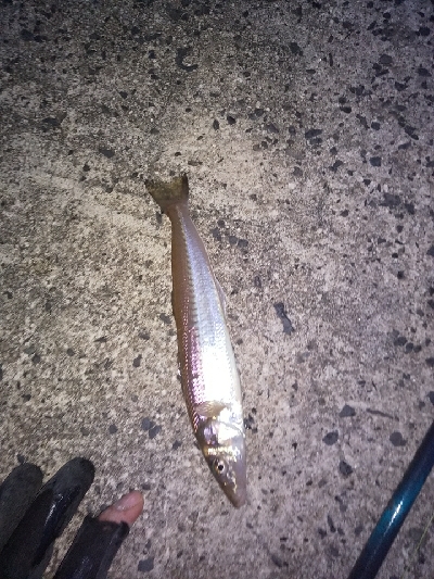 まずまずの成果