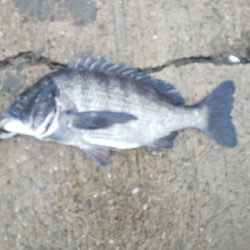 集中しないと！