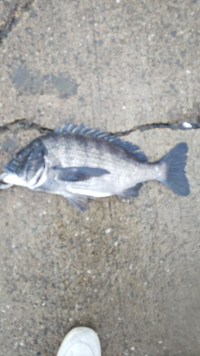 集中しないと！