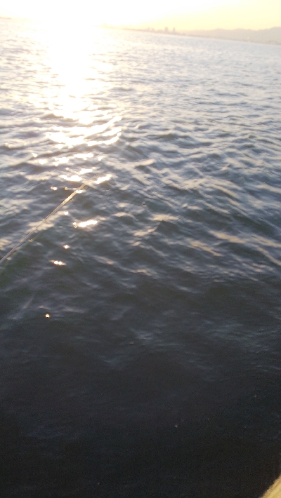 夕日を見ながらエビ撒きフィッシング