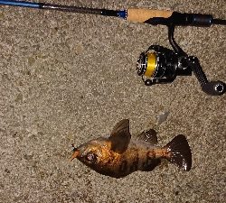 いつもの場所へ。